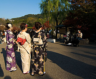 Highlight for Album: kyoto in the fall