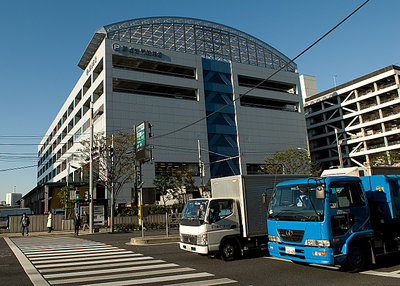 tsukiji fish market