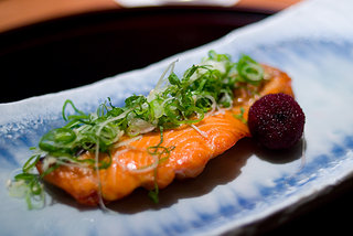 masu (ocean trout) and yamamomo